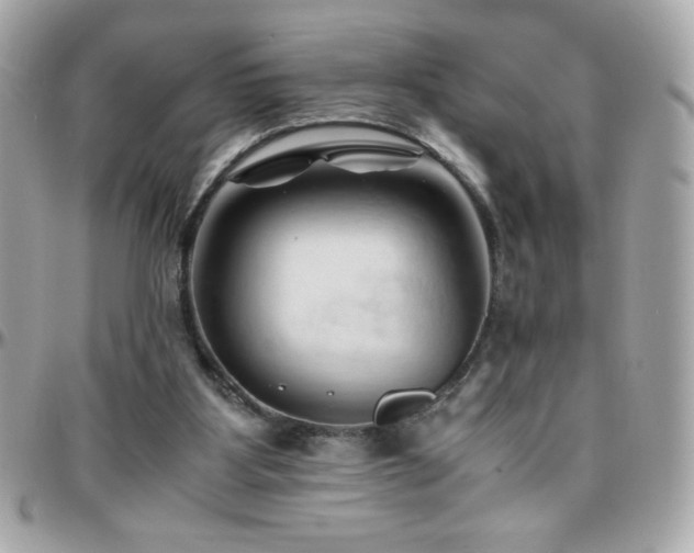 X0000096460107200801241415