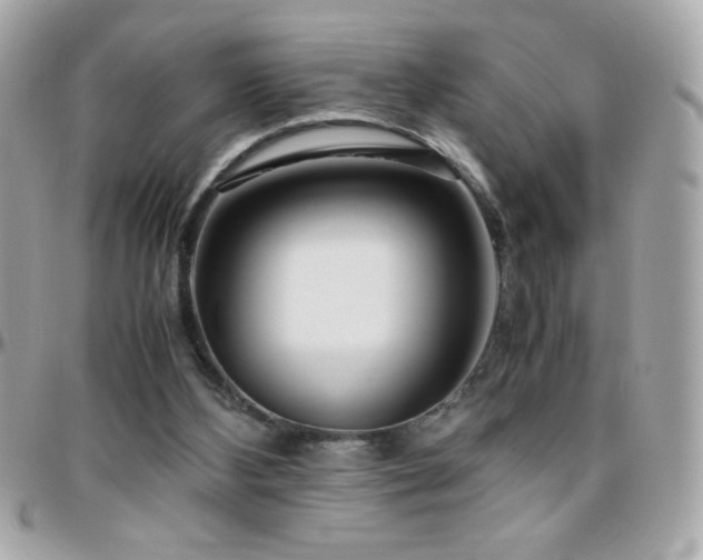 X0000096460108200801241415