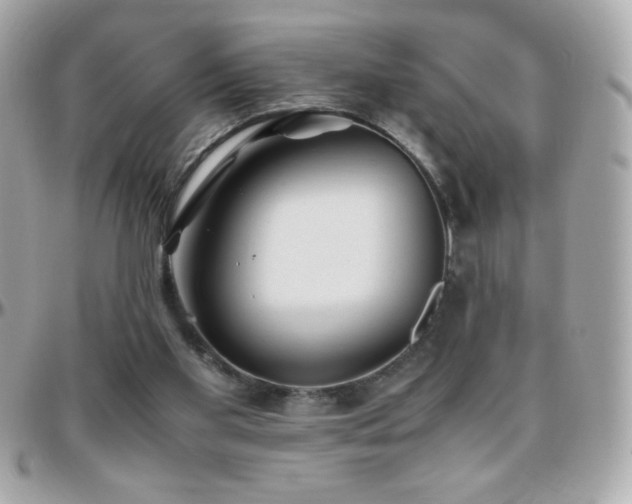 X0000096460109200801241415