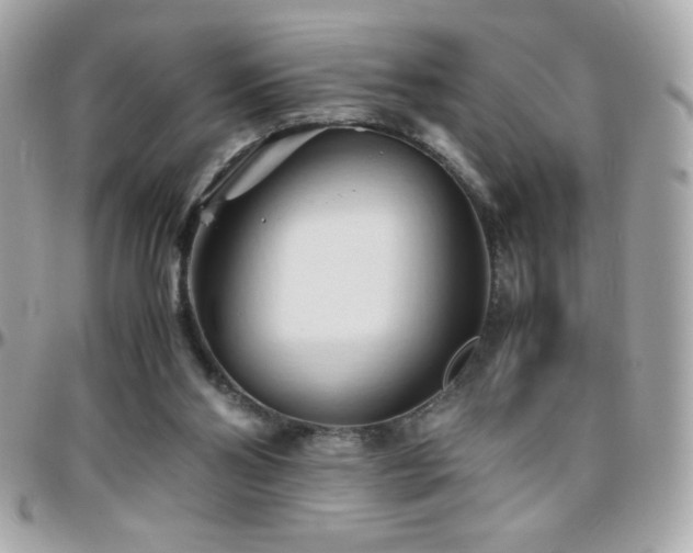 X0000096460110200801241415