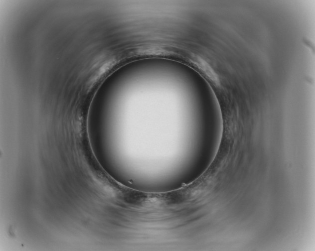 X0000096460111200801241415