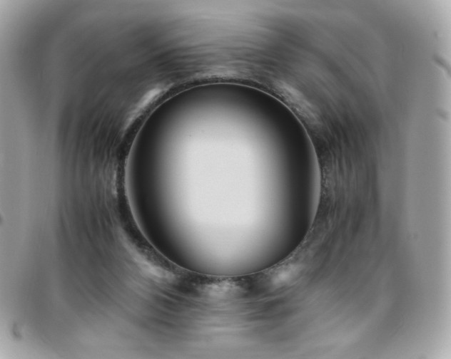 X0000096460112200801241415