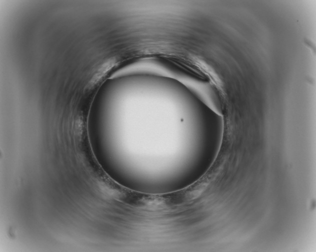 X0000096460113200801241415