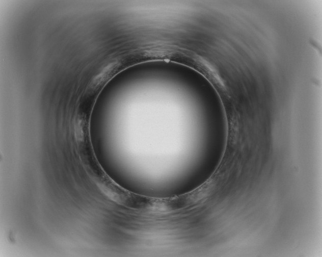 X0000096460114200801241415