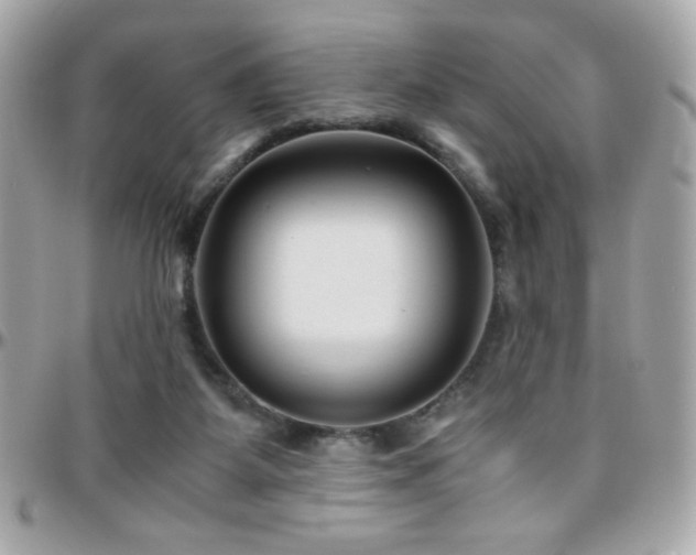 X0000096460115200801241415