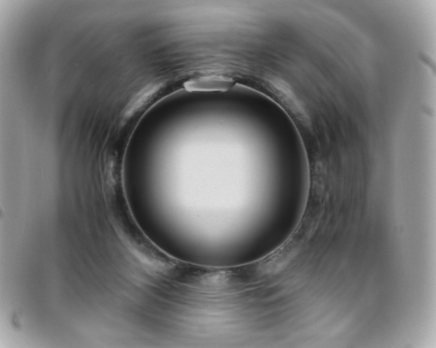 X0000096460116200801241415
