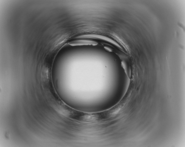X0000096460117200801241415
