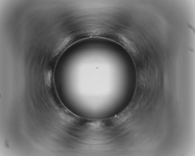 X0000096460118200801241415