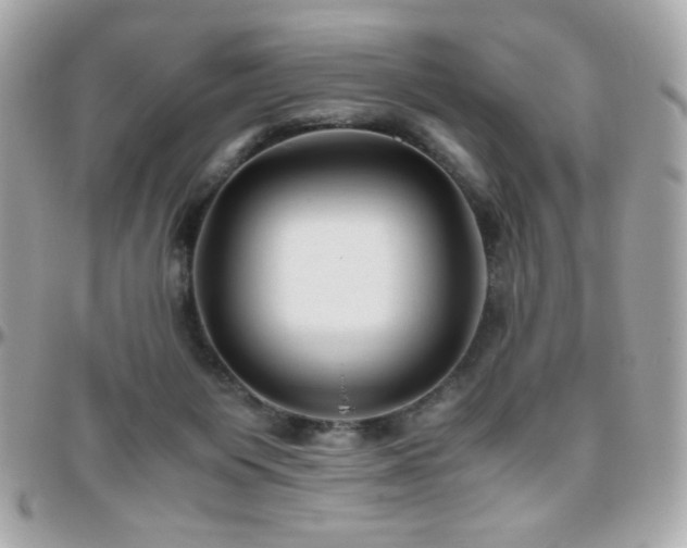 X0000096460119200801241415