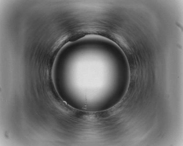 X0000096460120200801241415