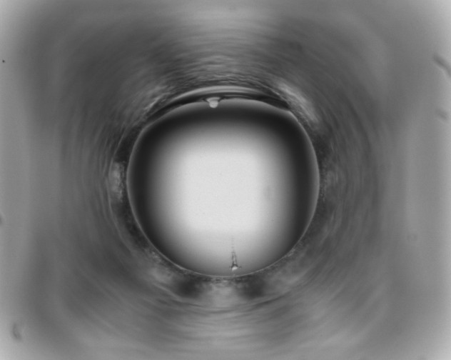 X0000096460121200801241415