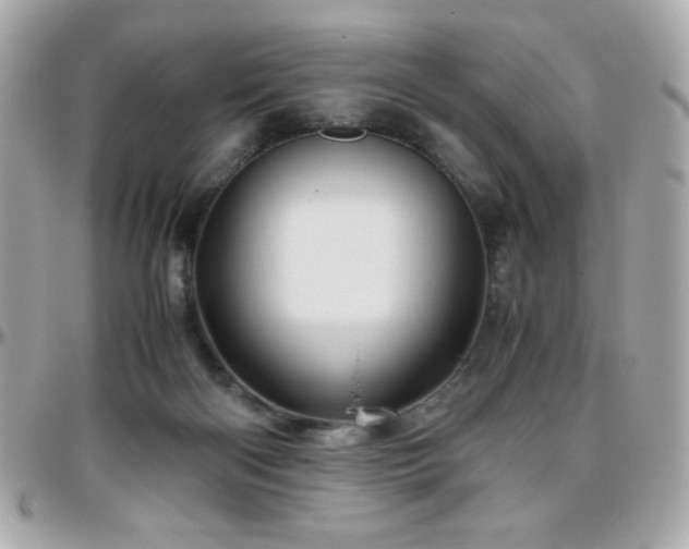 X0000096460122200801241415