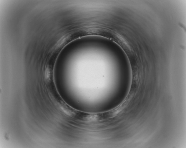 X0000096460124200801241415