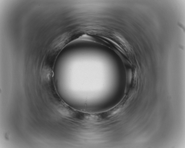 X0000096460125200801241415