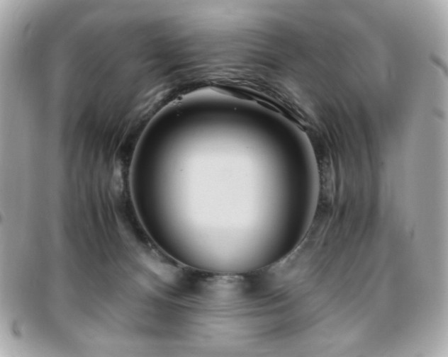 X0000096460128200801241415