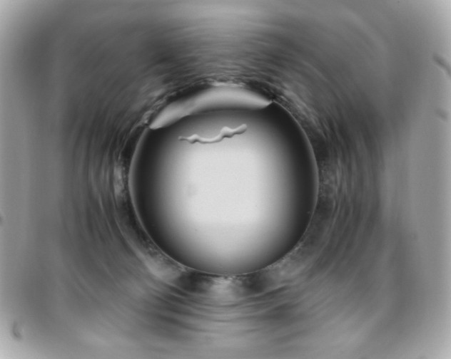 X0000096460130200801241415