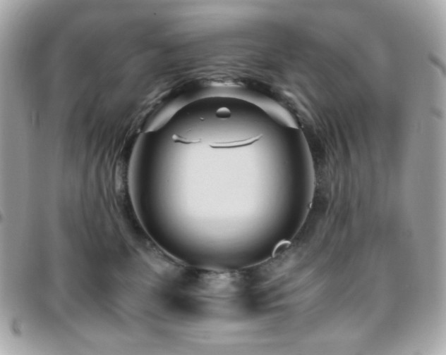 X0000096460131200801241415