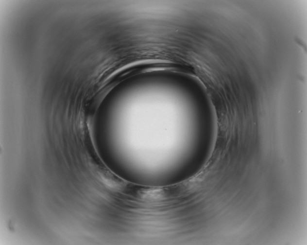 X0000096460132200801241415