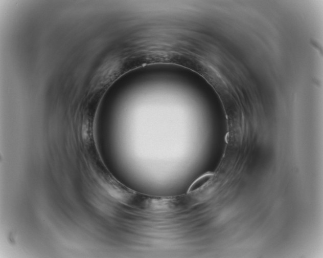 X0000096460134200801241415
