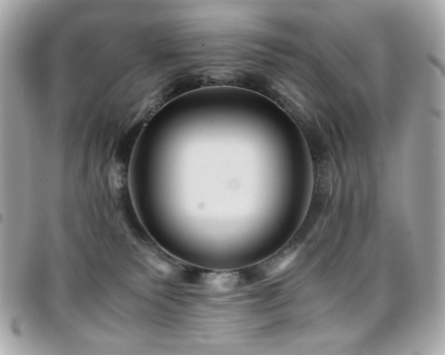 X0000096460135200801241415