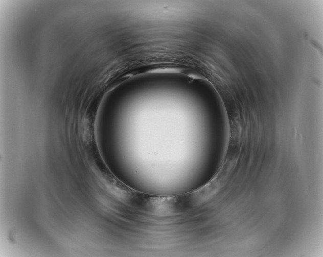 X0000096460136200801241415