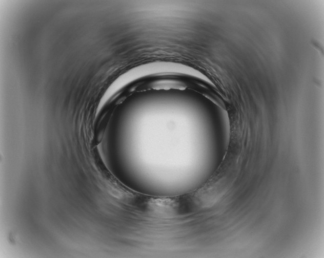 X0000096460137200801241415