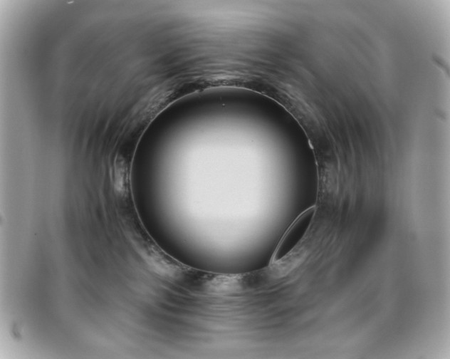 X0000096460138200801241415