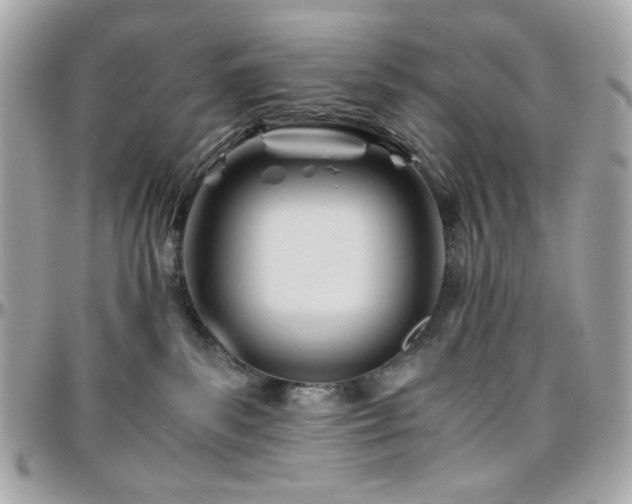 X0000096460139200801241415