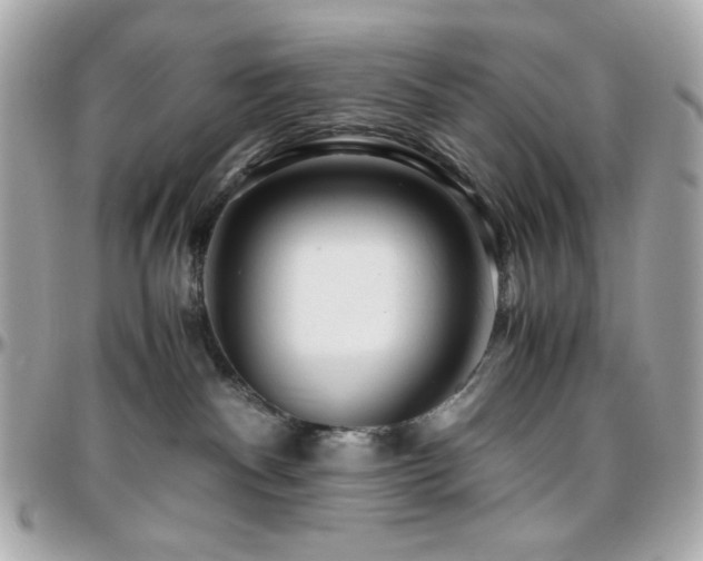 X0000096460140200801241415