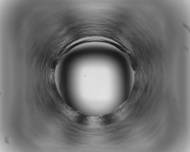 X0000096460141200801241415