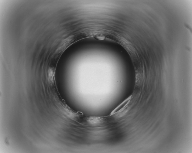 X0000096460142200801241415