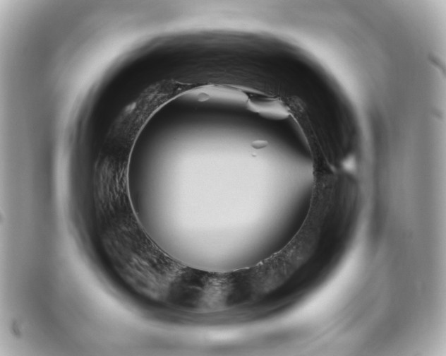 X0000096460143200801241415