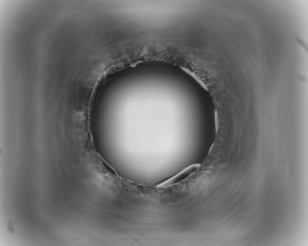 X0000096460144200801241415