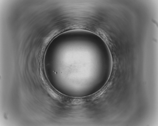 X0000096460145200801241414