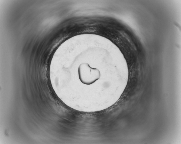 X0000096460146200801241414