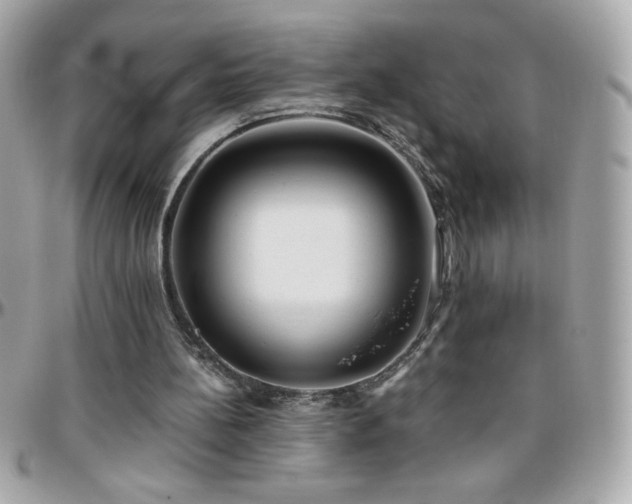 X0000096460148200801241414