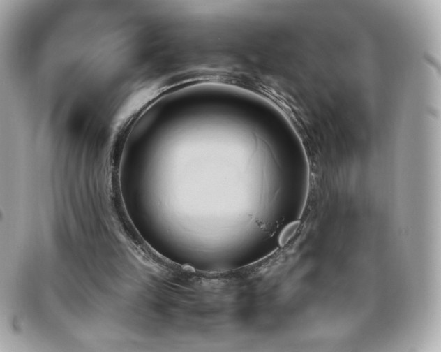 X0000096460149200801241414