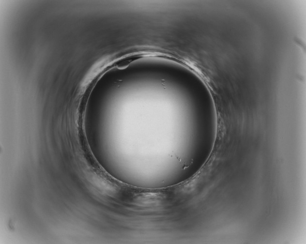 X0000096460151200801241414
