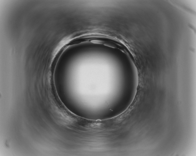 X0000096460152200801241414