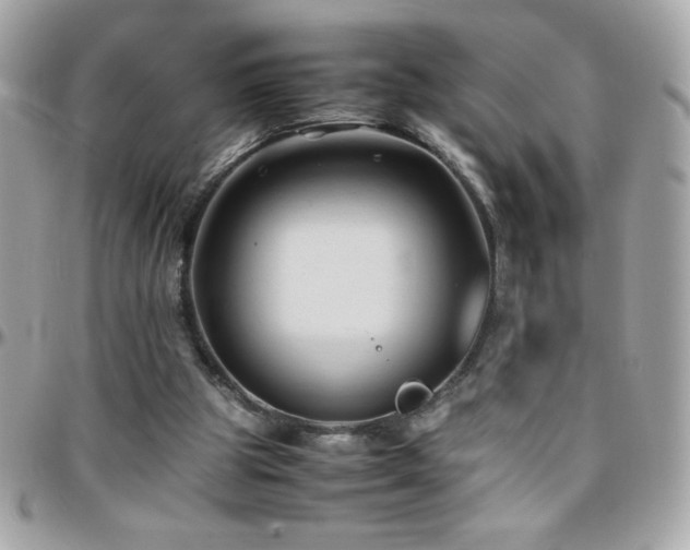 X0000096460153200801241414