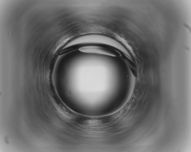 X0000096460154200801241414
