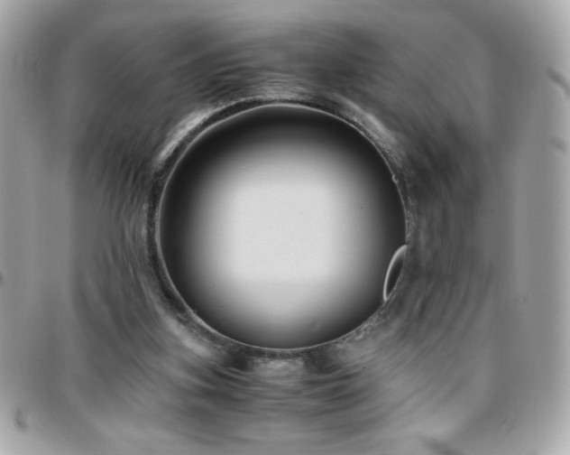 X0000096460155200801241414