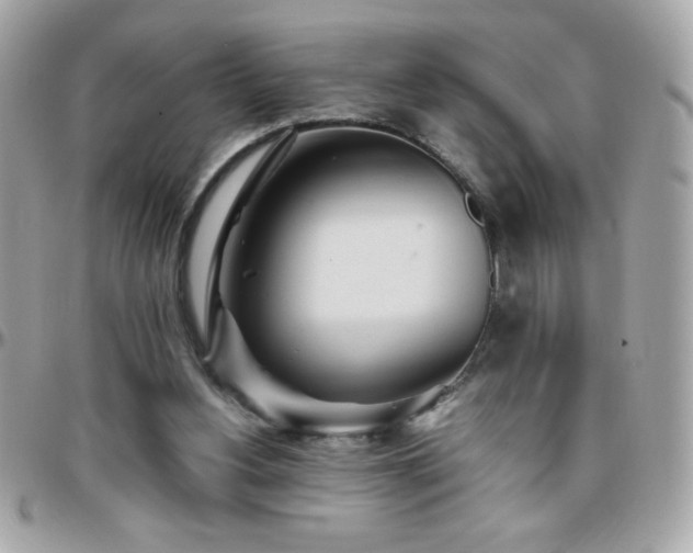 X0000096460156200801241414