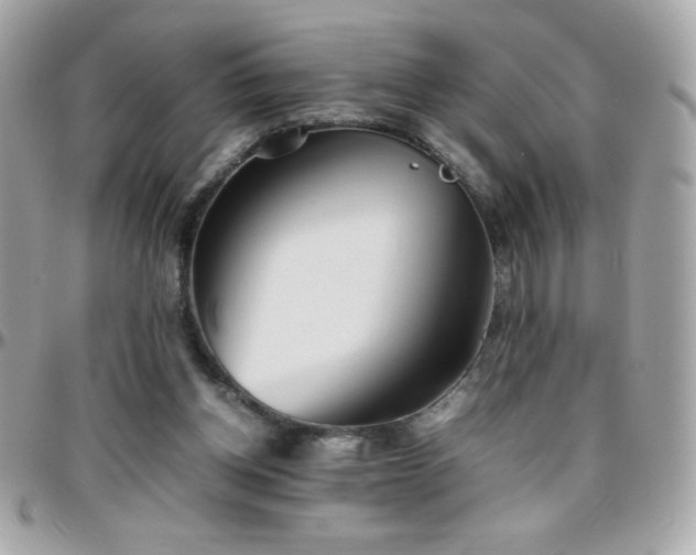 X0000096460158200801241414