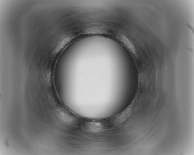 X0000096460159200801241414