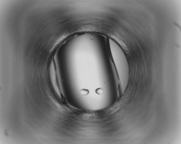 X0000096460160200801241414