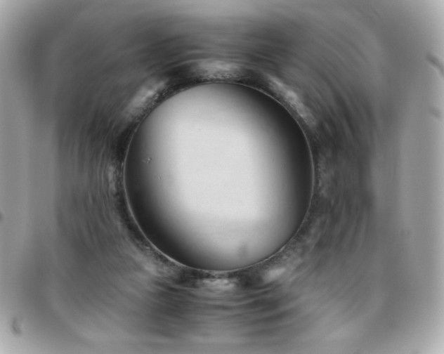 X0000096460161200801241414