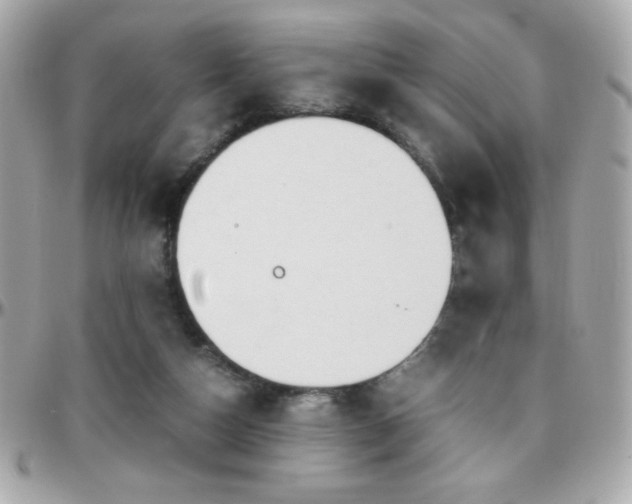 X0000096460162200801241414