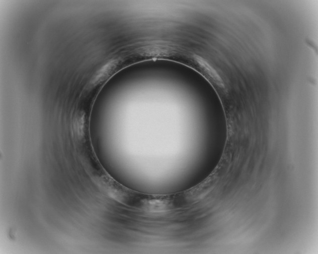 X0000096460163200801241414