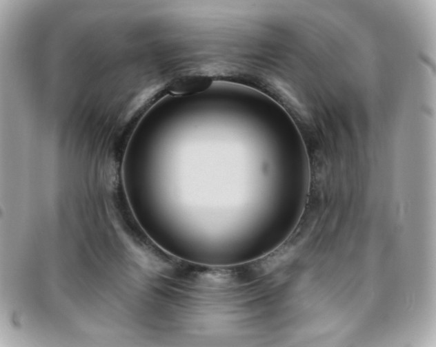 X0000096460164200801241414